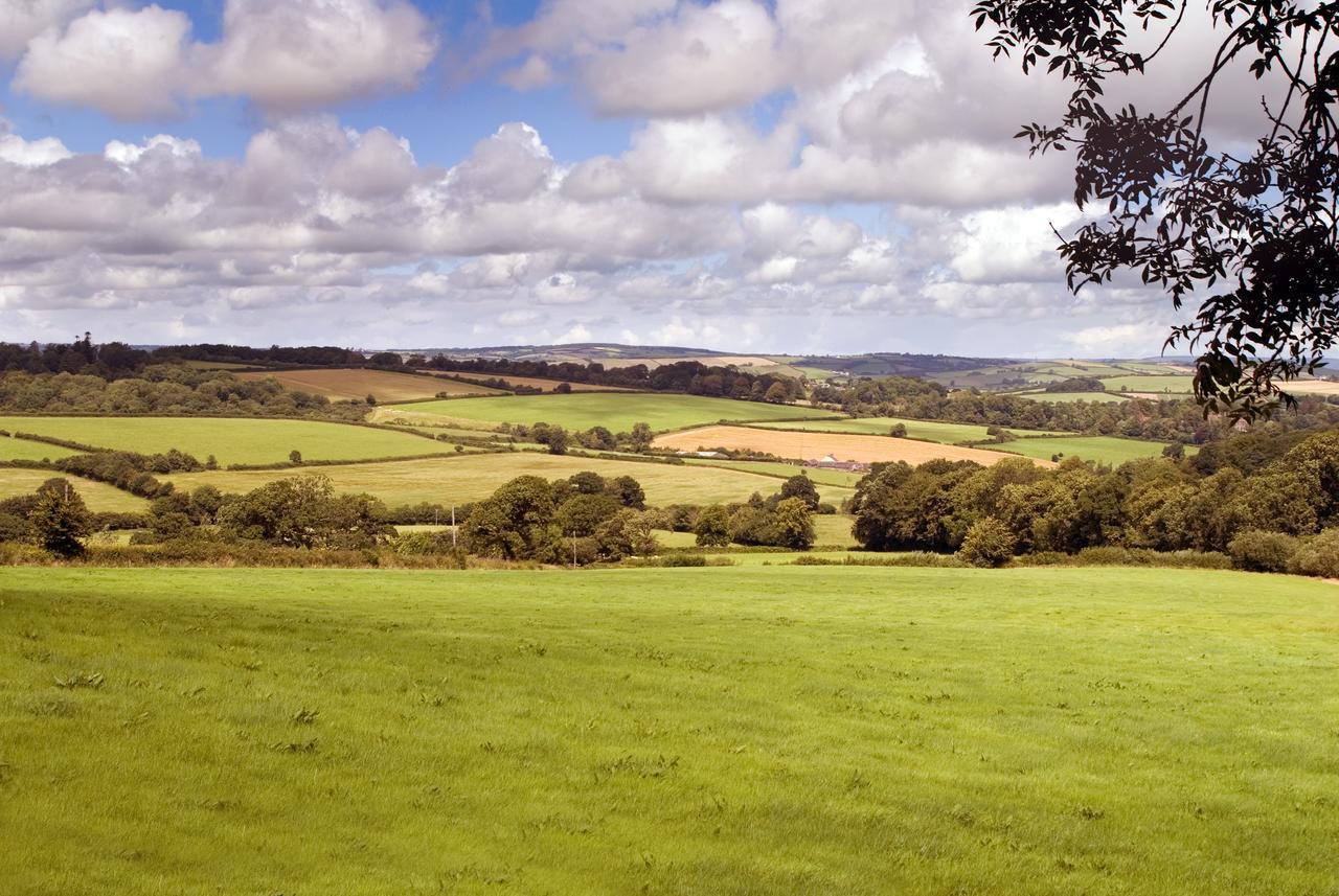 Three Gates Farm Holiday Cottages Huntsham Exteriör bild