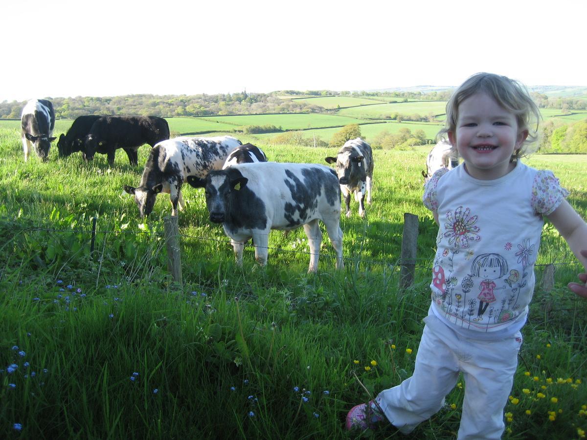 Three Gates Farm Holiday Cottages Huntsham Exteriör bild