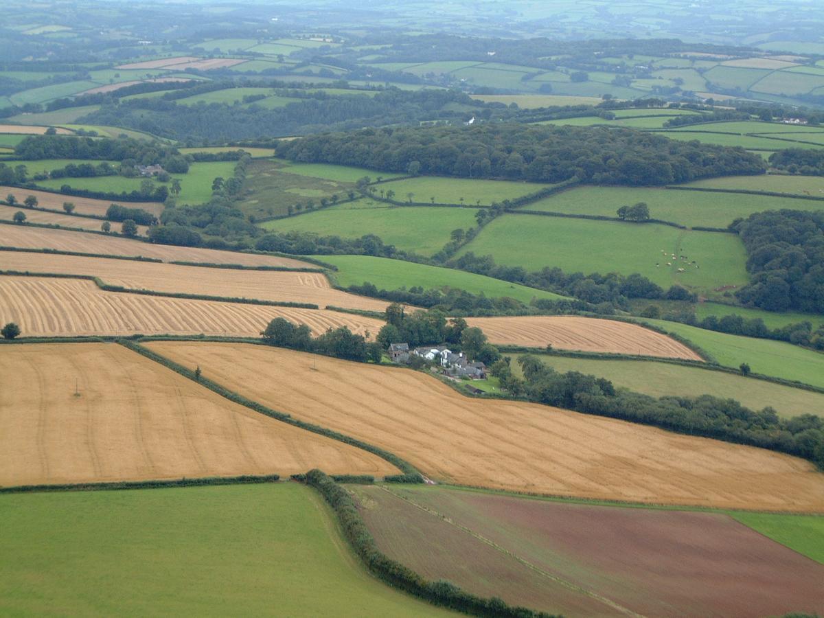 Three Gates Farm Holiday Cottages Huntsham Exteriör bild